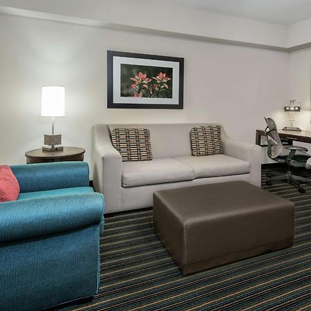 Hilton Garden Inn San Antonio/Rim Pass Drive Exterior foto